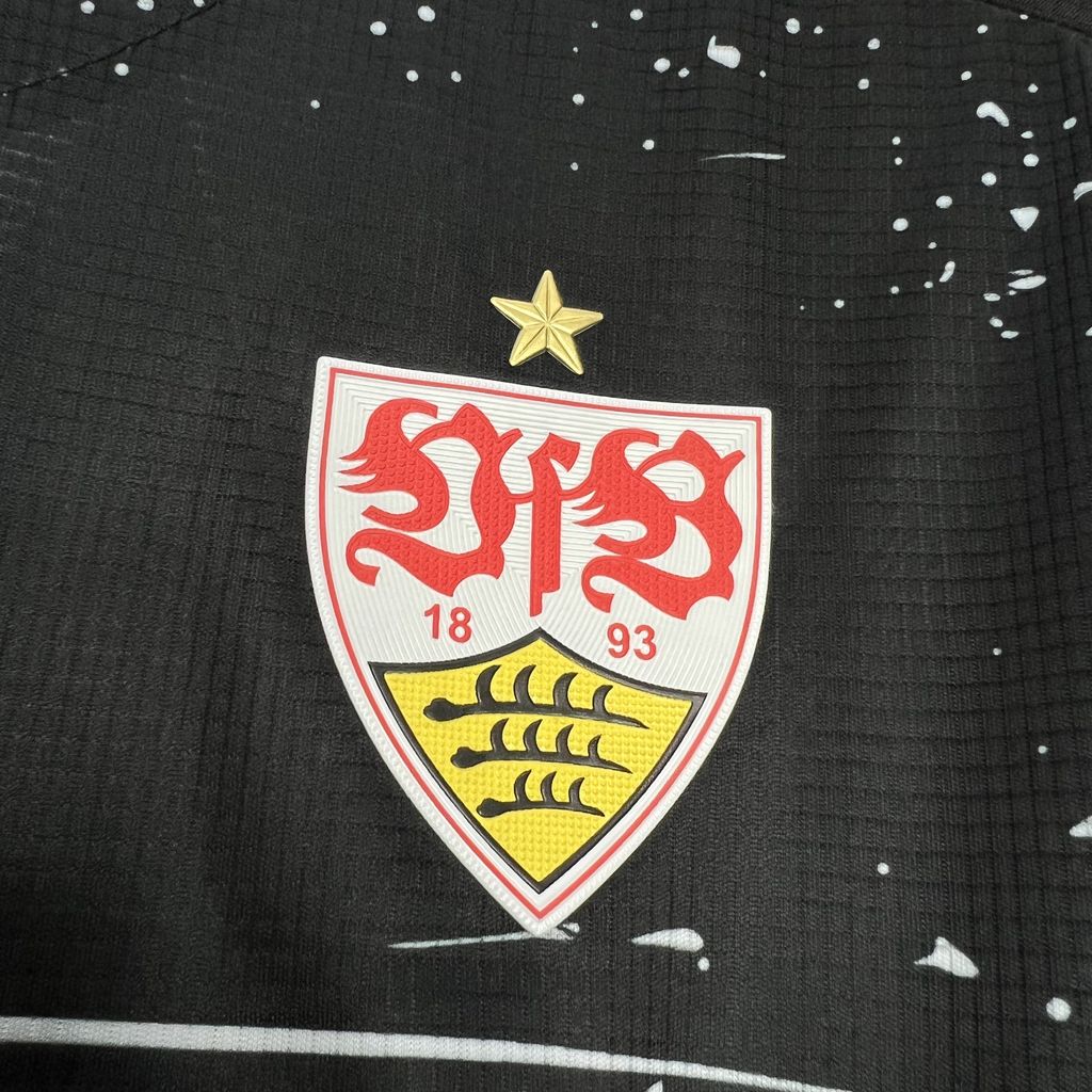 Alternativa al VfB Stuttgart 2024-25