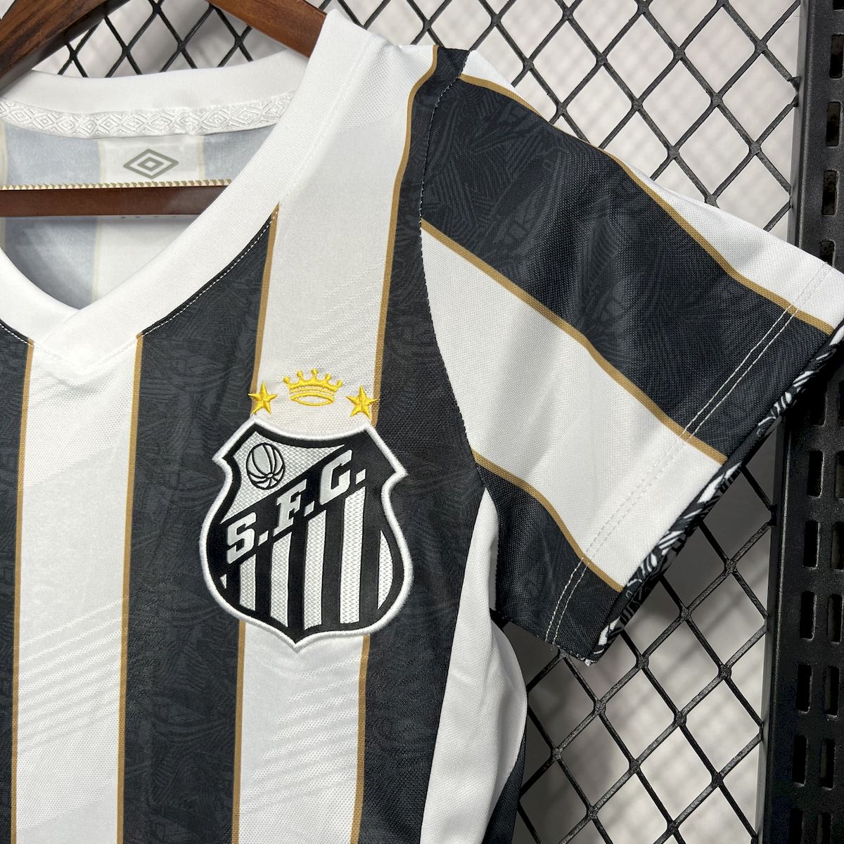 Santos Alternativa Femenina 2024-25