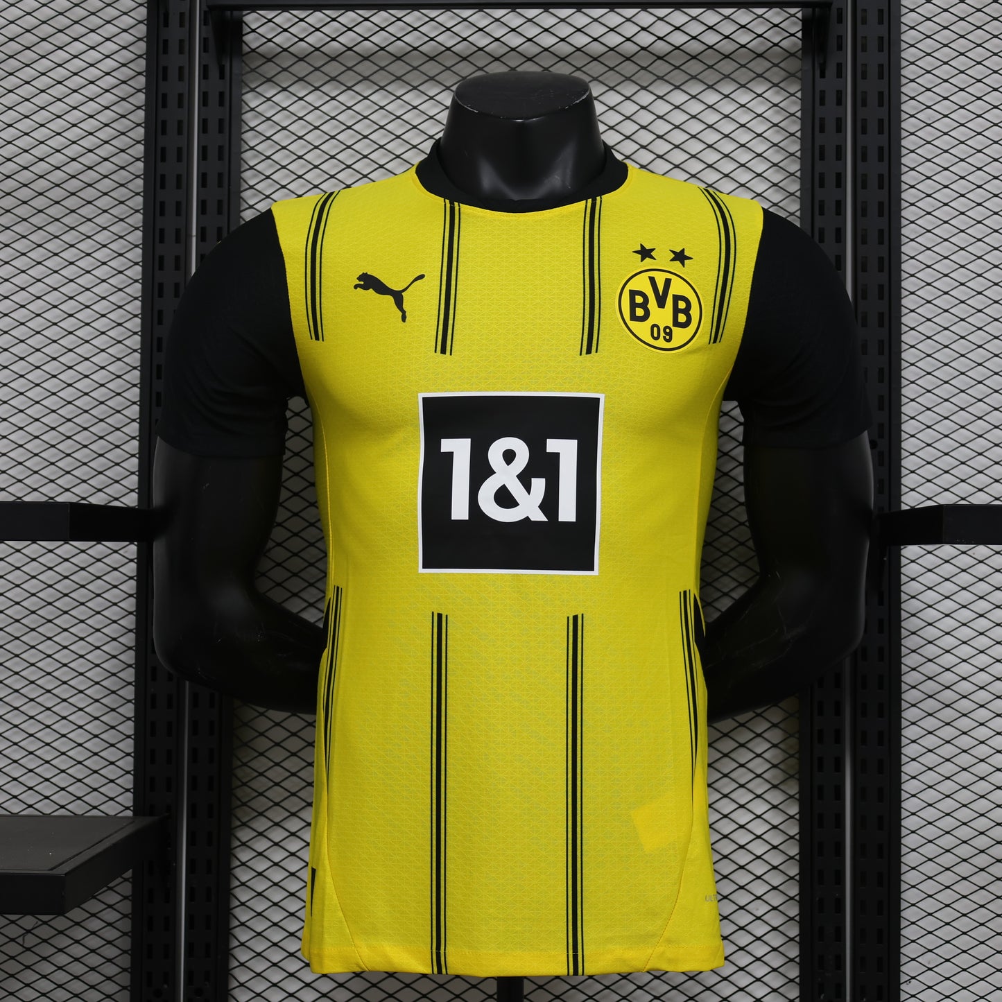 Borussia Dortmund 2024-25 Versión Jugador