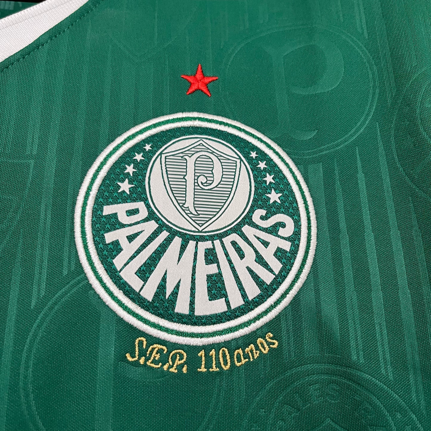 Palmeiras 2024-25