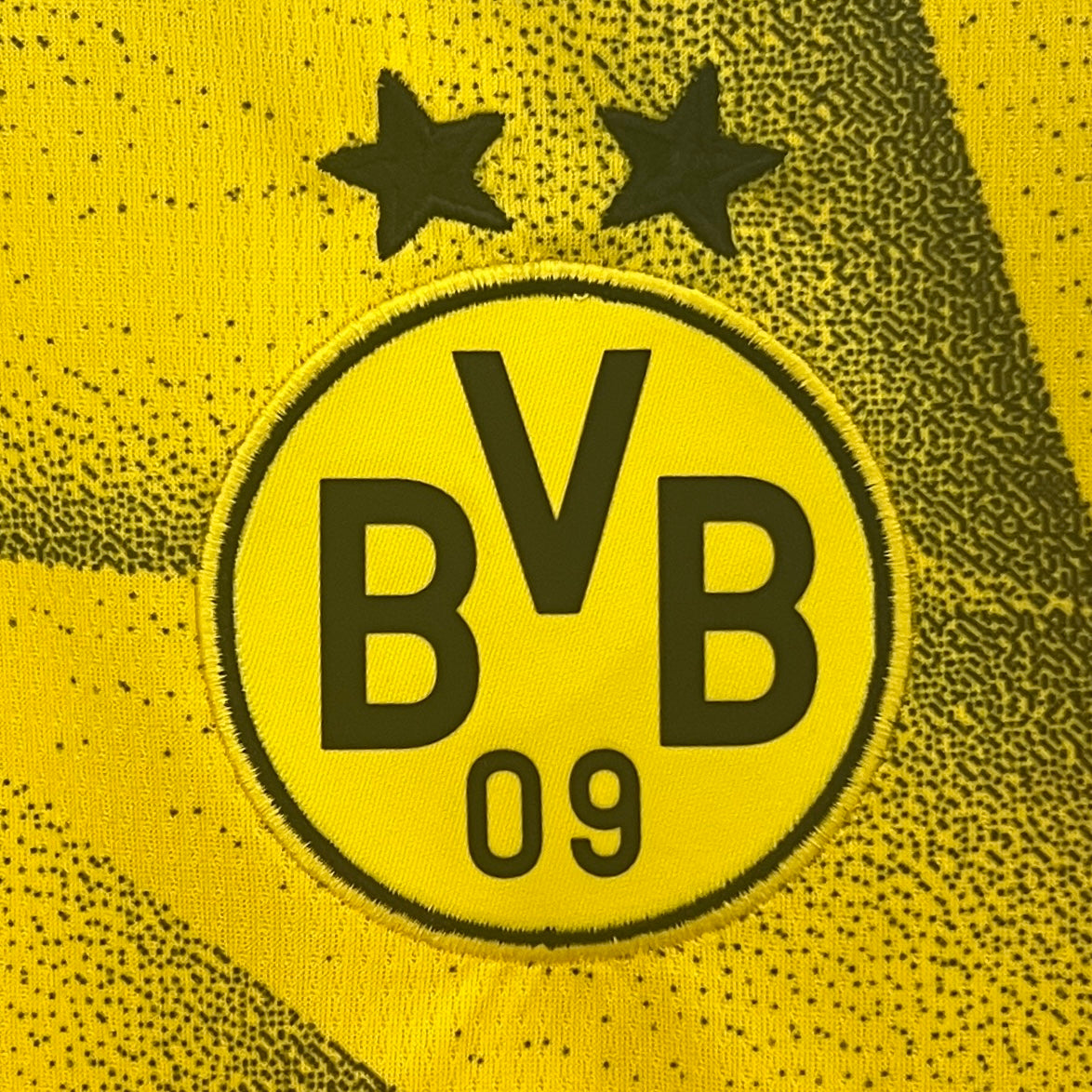 Borussia Dortmund alternative 2023-24