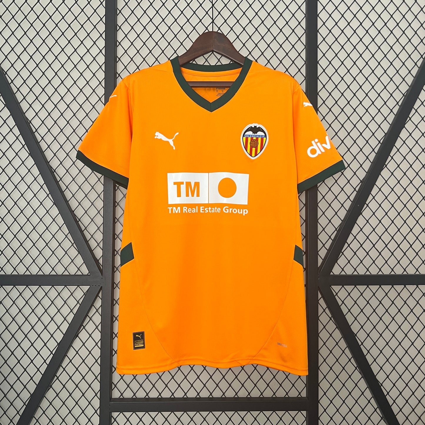 Alternativa Valencia 2024-25