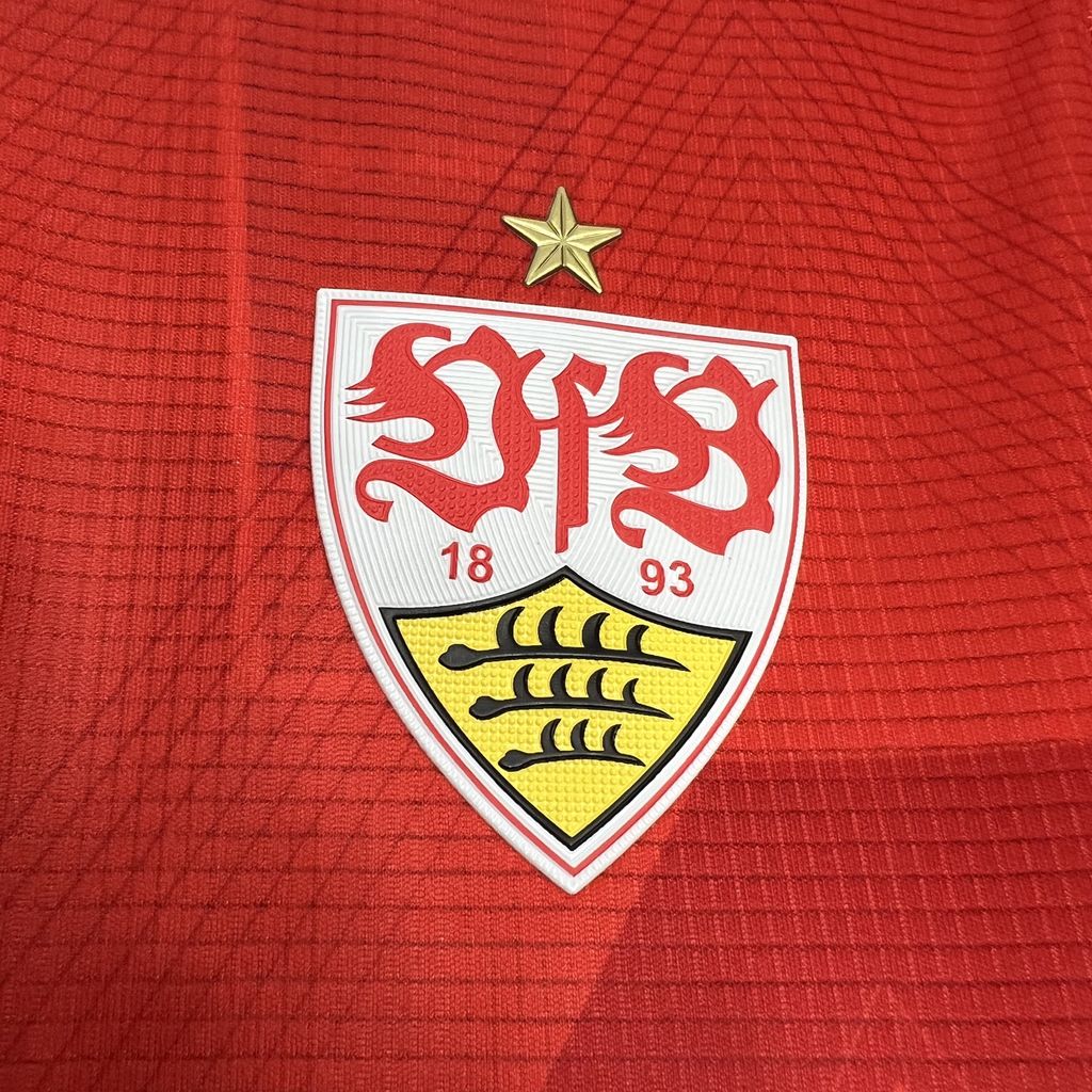 Alternativa al VfB Stuttgart 2024-25