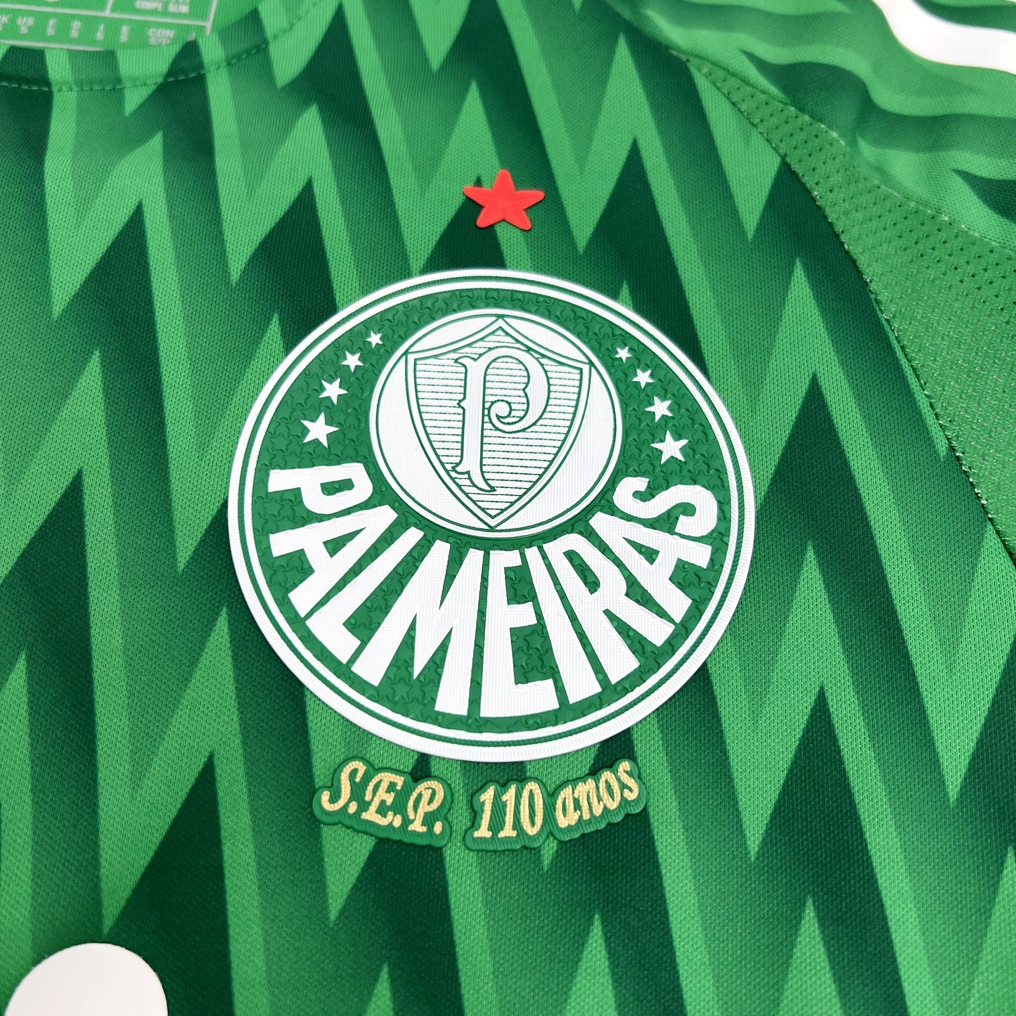 Alternativa Palmeiras 2024-25