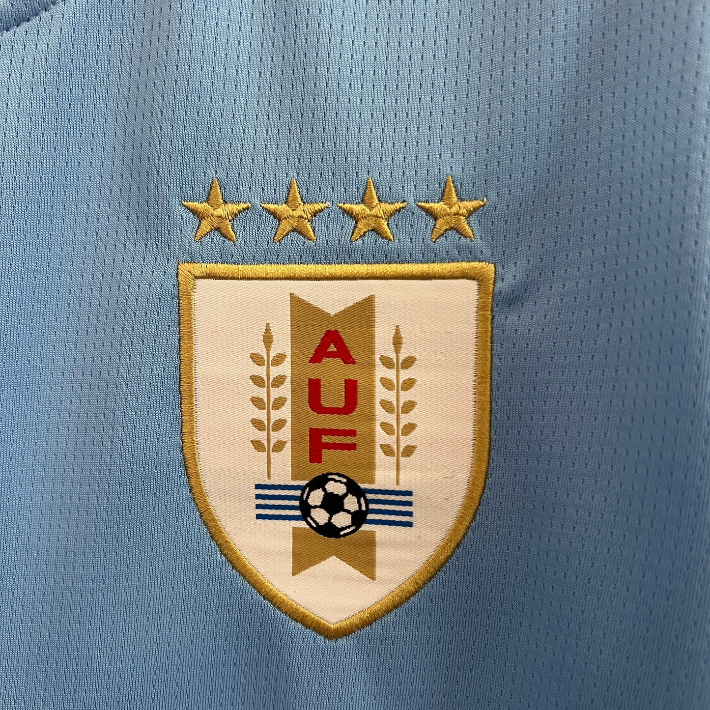 Uruguay 2024-25