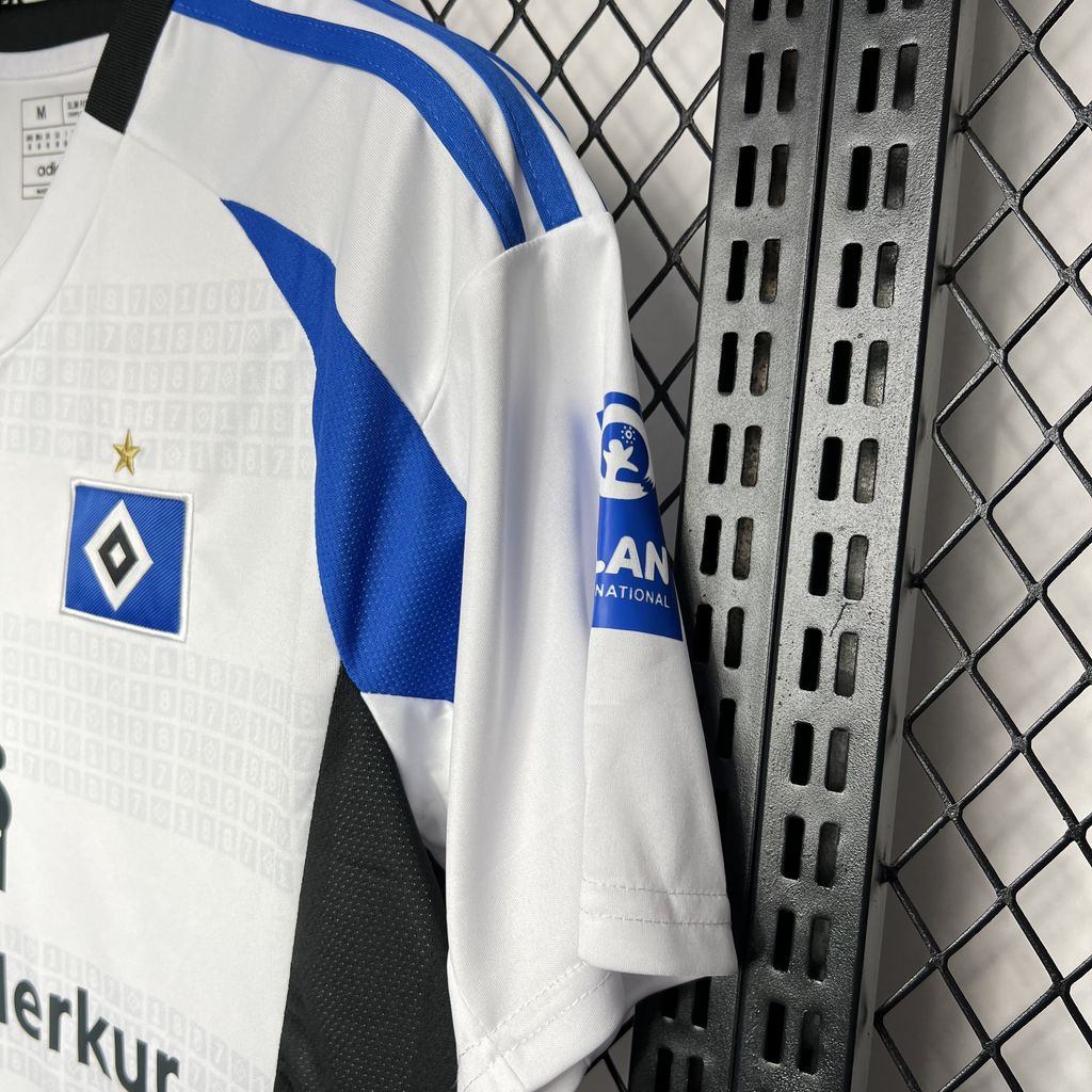 Hamburger SV 2024-25