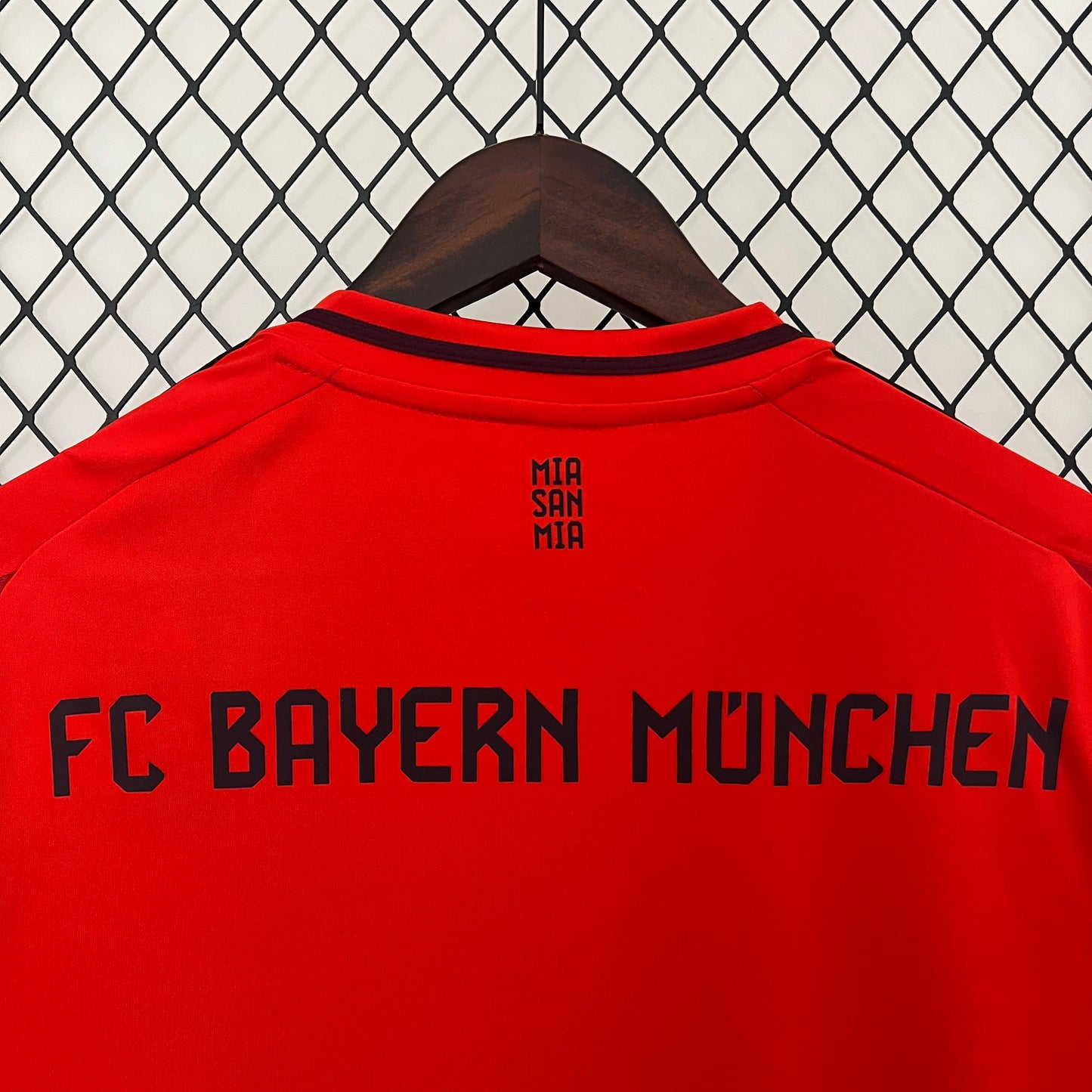 FC Bayern Múnich 2024-25