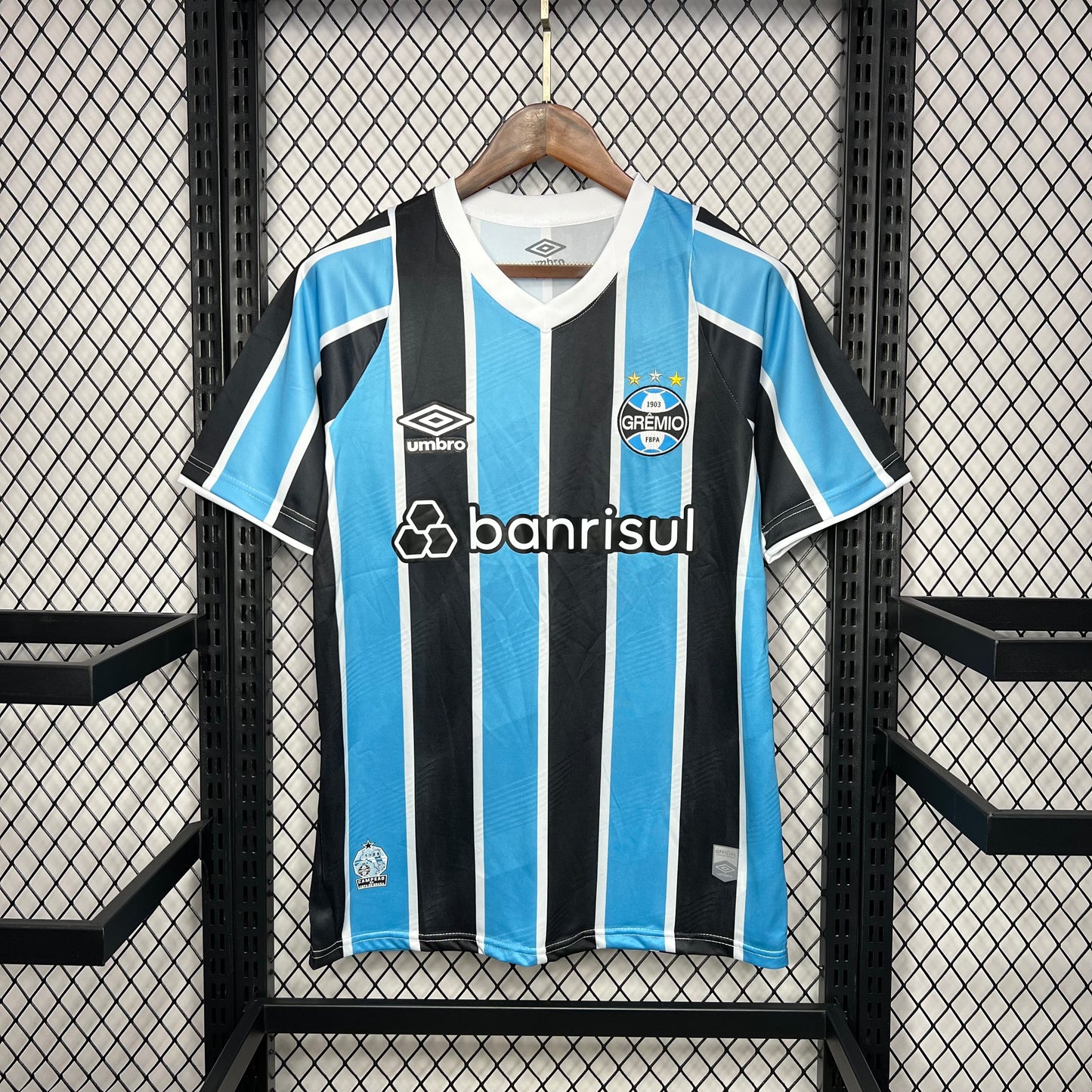 Gremio 2024-25