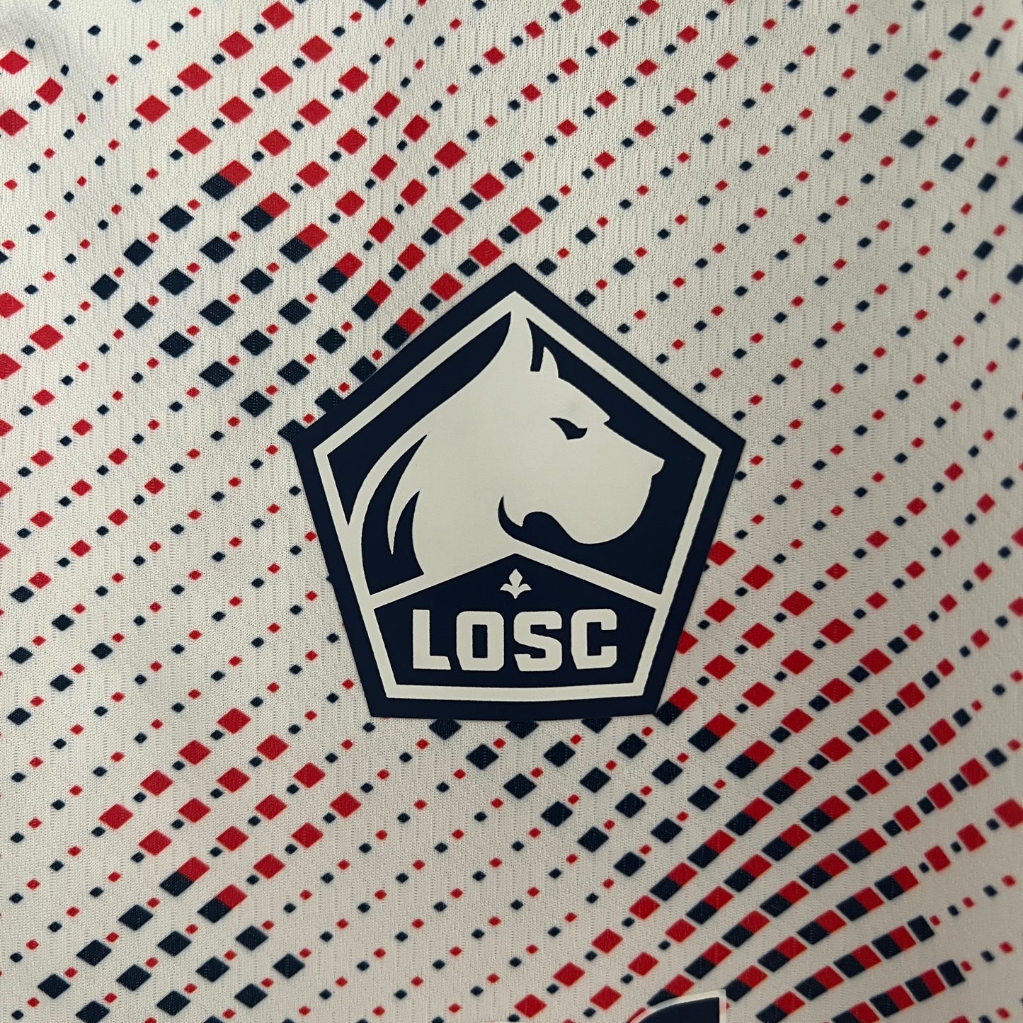 Lille Olympique SC alternativa 2024-25