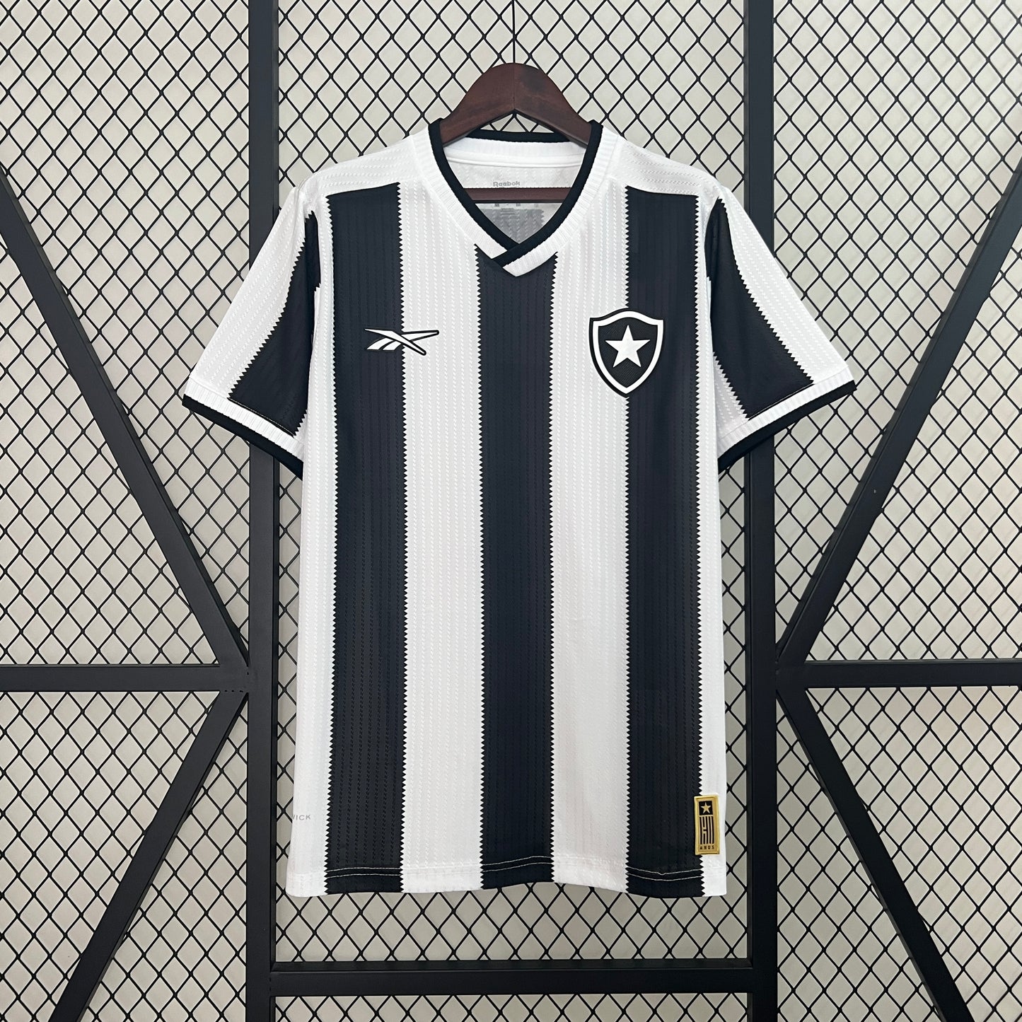 Botafogo 2024-25