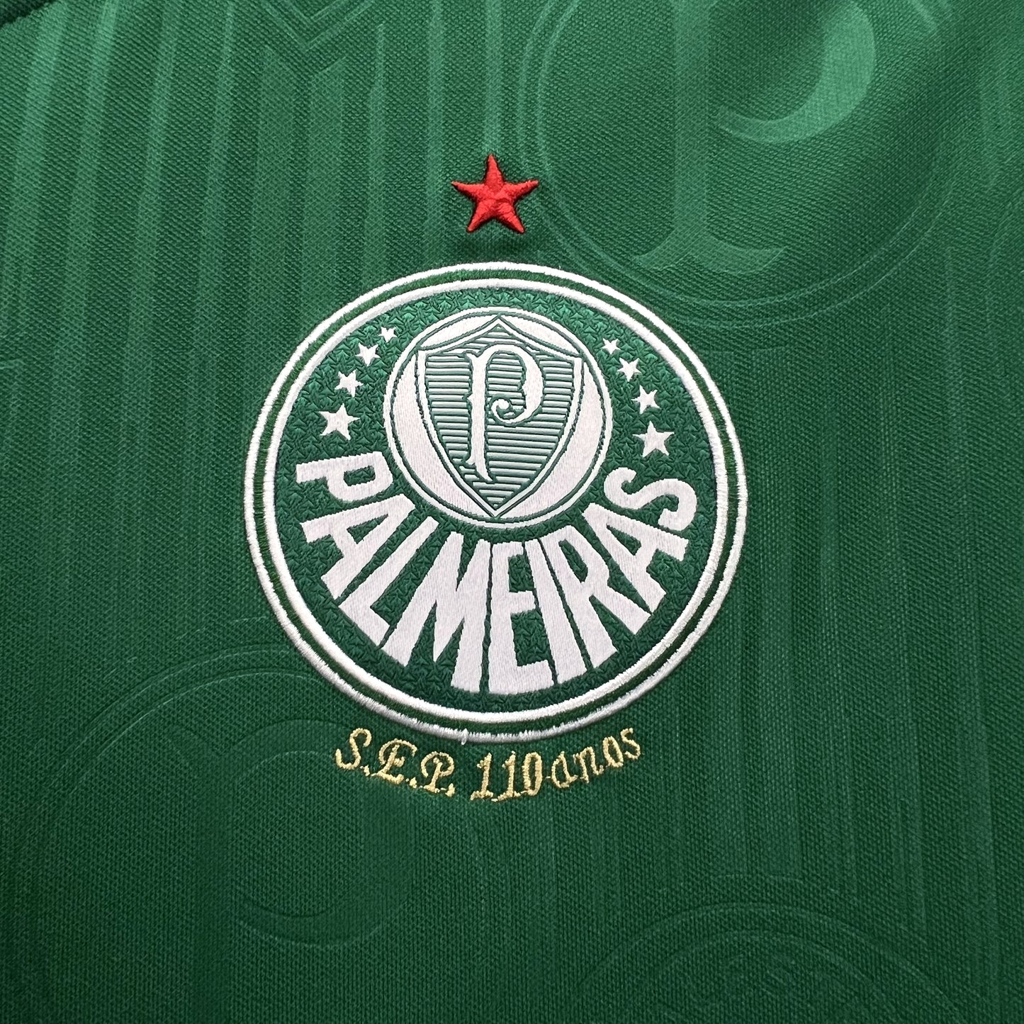 Palmeiras mulher 2023-2024