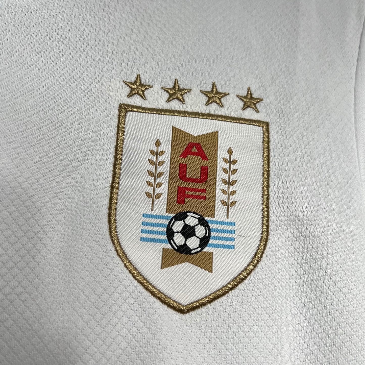 Alternativa Uruguay 2024-25