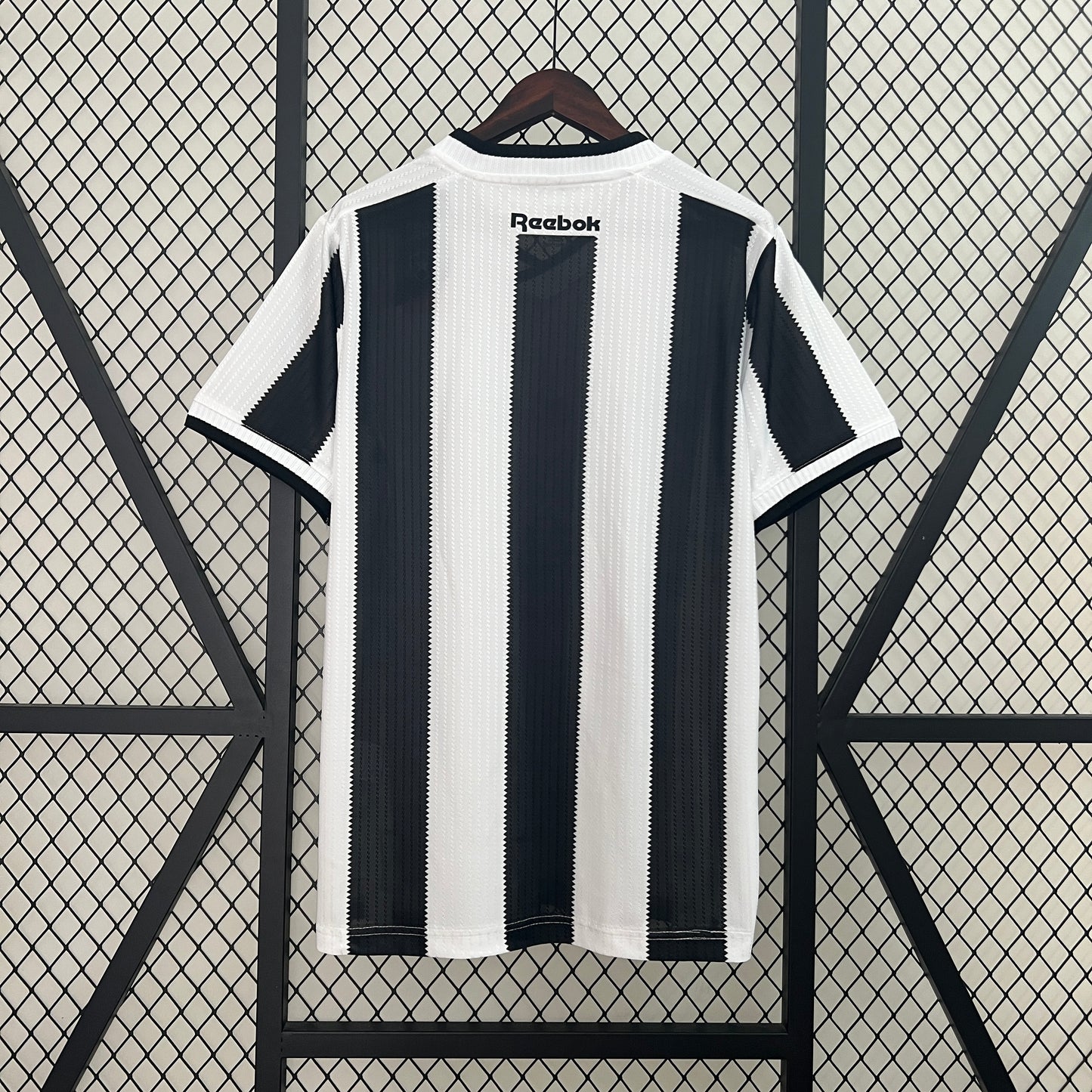 Botafogo 2024-25