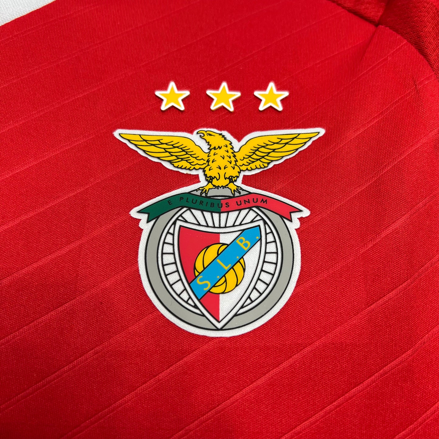 SL Benfica 2024-25