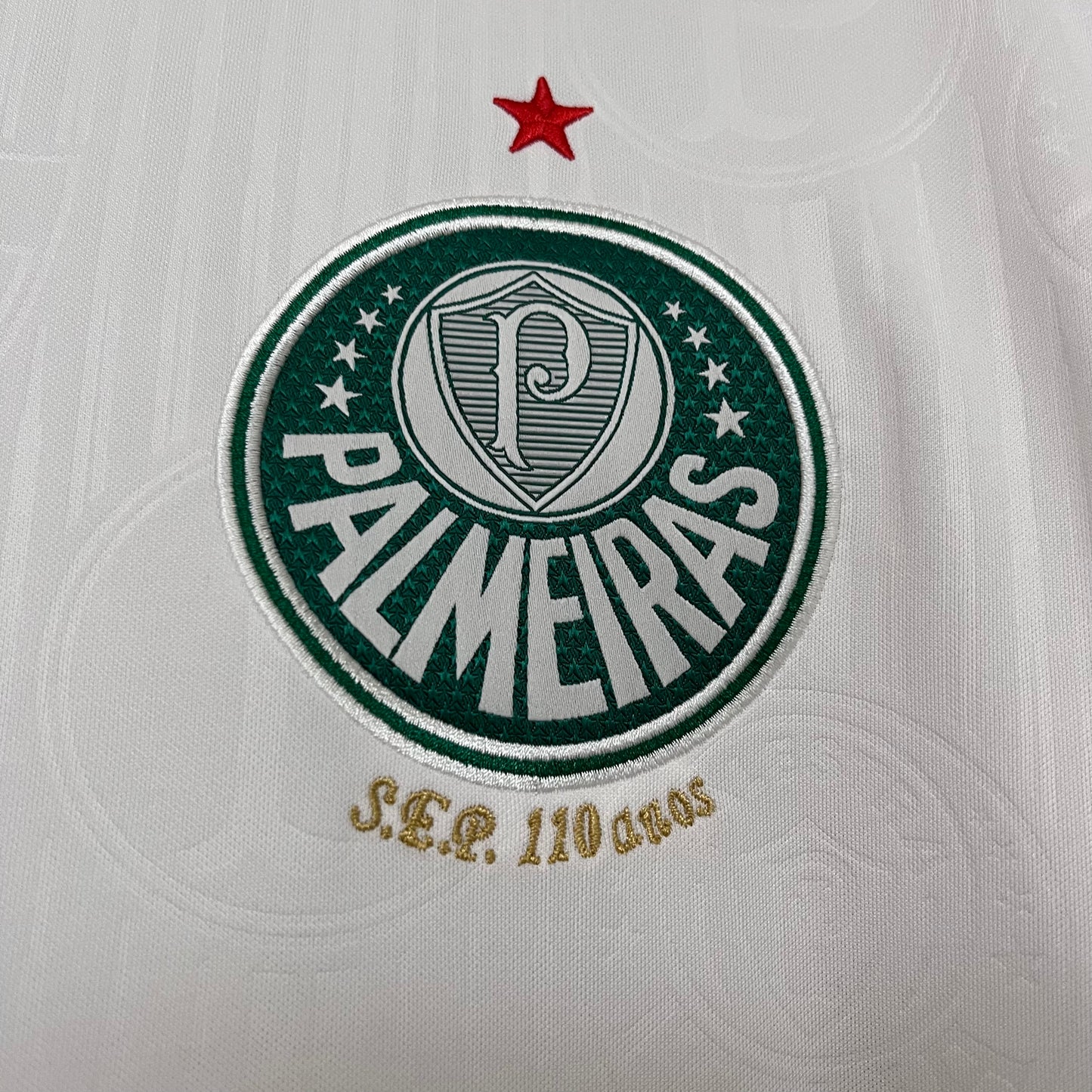 Alternativa Palmeiras 2024-25