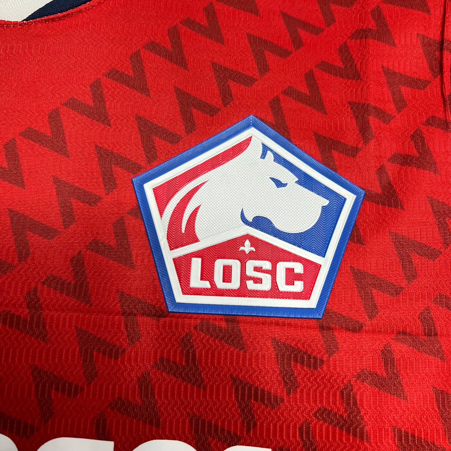 Lille Olympique SC 2024-25